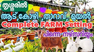 Plants Nursery and farm in Thrissur | ചെടികളും, മൃഗങ്ങളും പക്ഷികളും | SM Brothers | VLOGETTAN