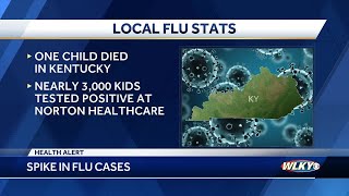 Kentucky child dies from the flu, the first in the state this season