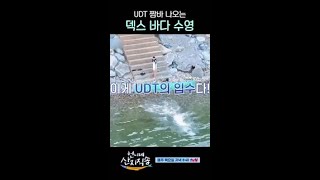 느낌 좋은 덱스의 바다 수영 #언니네산지직송