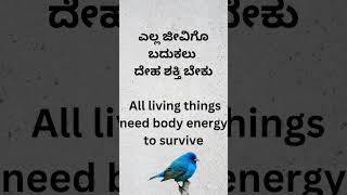 ಎಲ್ಲಾ  ಪ್ರತಿ  ಜೀವಿಯ  ದೇಹದ ಒಳಗಡೆ  ಶಕ್ತಿ ಇರುತ್ತದೆ  All living beings have energy inside their bodies