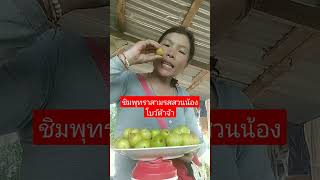 #เกษตรอินทรีย์ #กดติดตาม #กดแชร์ #พุทราสามรสสวนเราเอง #กิน #เกษตรผสมผสาน #กินโชว์