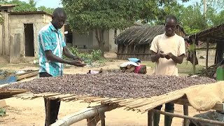 Ghana, Ivory Coast boycott cocoa meeting in Brussels over farmers' pay