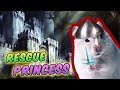 Prince Adventure Maze Castle rescue Princess Hamster in the Castle