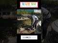 더 나은 칠곡의 칠곡군 지천면 신나무골성지 봉사영상 shorts 3