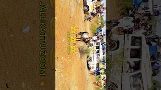 குன்றக்குடி மஞ்சுவிரட்டு #jallikattu #manjuvirattu #மஞ்சுவிரட்டு