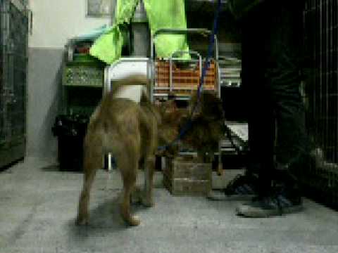 Dscn7108 Youtube