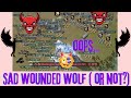 Warpathfinder: New York - Sad Wounded Wolf ( or not?)