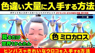 【ポケモンSV】色違いミロカロスを大量に入手する方法 ヒンバス きれいなウロコ