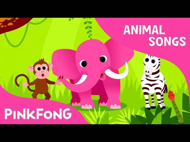 Animal Animals Song For Kids Ac English Esl Video Lessons