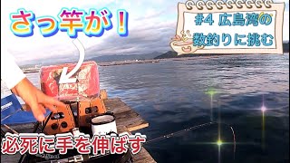 [チヌかかり釣り]#4夏の広島湾の数釣りに挑戦‼️