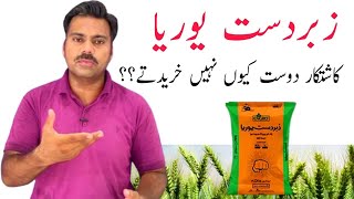 Zabardast Urea Fertilizer Review | Abid Ali Agrarian