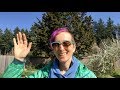 Energy Healing Recap March 30 pt 1 Intro to Moon Roof Healing