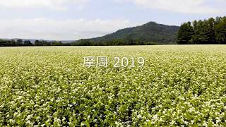 製麺組合夏季研修会用そば畑動画