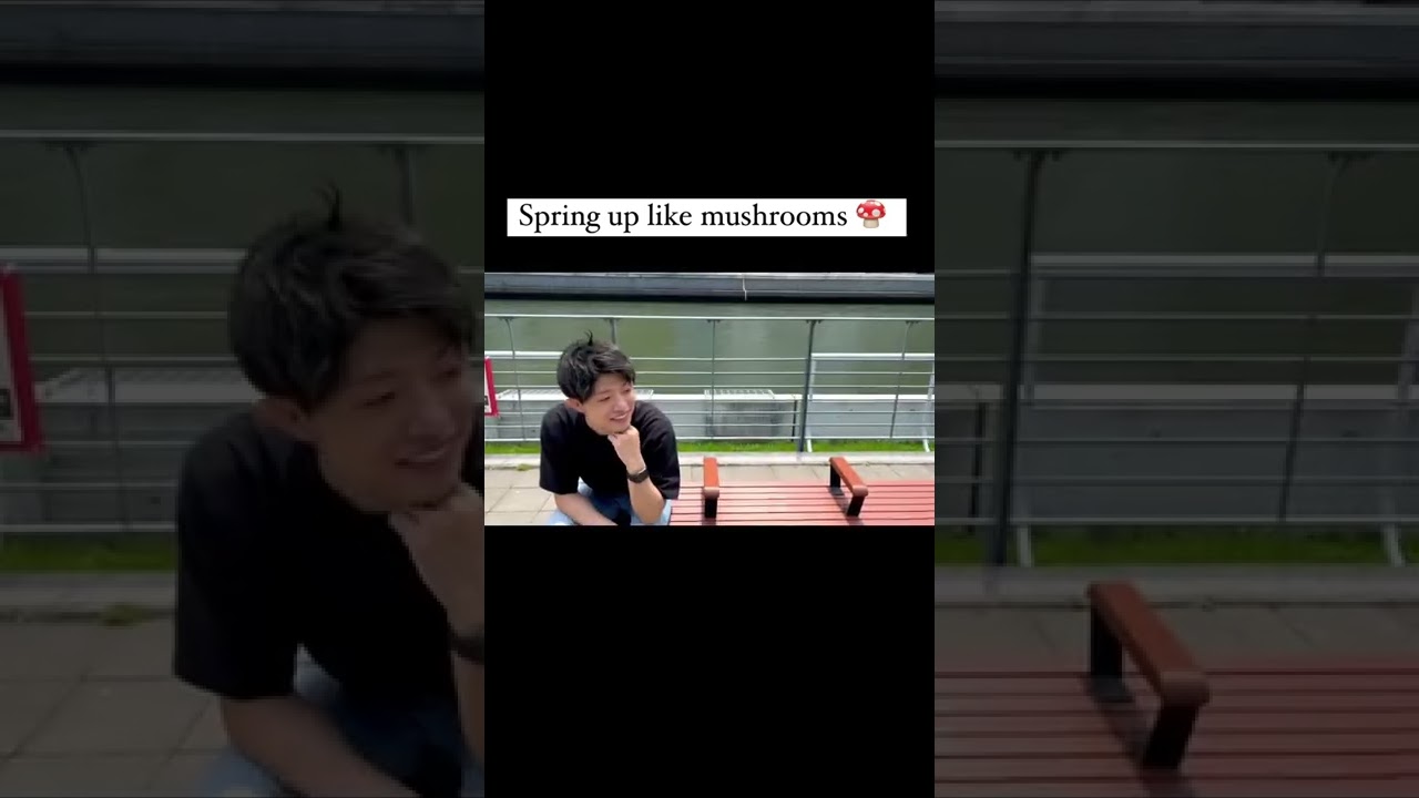 英語フレーズ”Spring up like mushrooms”•White Shu’s