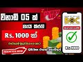 Earn money online 2024 | 5$ Free | e money sinhala | online jobs at home