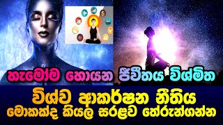 හැමෝම හොයන විශ්ව ආකර්ෂණ නීතිය කියන්නේ මොකක්ද? | Law of Attraction Sinhala