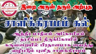 சாளக்கிராமத்தை பார்ப்பதே புண்ணியம் || ஆந்திர மாநிலம் அகோபிலம் நரசிம்மர் கோவில் #சாளக்கிராமம்