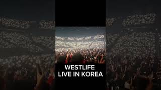 2024.11.23 WESTLIFE LIVE IN KOREA Light Show #WESTLIFE #KOREA #Concert  #웨스트라이프 #웨라 #내한공연