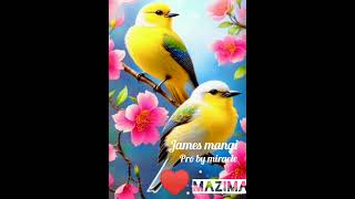 James mangi -mazima (official audio )new song 2023