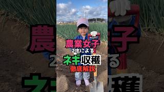 農業女子2才の完璧なネギ収穫！ #農業女子 #ネギ #農家