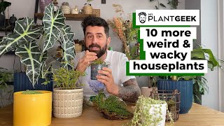 10 MORE Weird \u0026 Wacky Houseplants