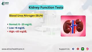 How to check Lab Test report #doctor #health #ruralhealthcare #healthawareness #hospital #lab