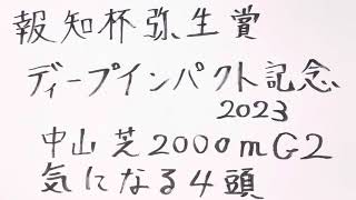 弥生賞2023 GII 気になる4頭