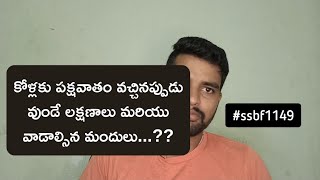 కోళ్ళకు పక్షవాతం లక్షణాలు ఏమిటీ...?? పక్షవాతం వచ్చినప్పుడు ఏమి మందులు వాడాలి..? 8179253769 | ssbf