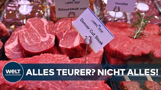 MEIN GEMÜSE: Überraschung im Kühlregal – Nicht alles wird teurer