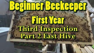 ❶ Beginner beekeeper - Third Hive Inspection - Part 2 East Hive FLASHBACK