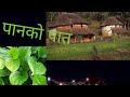 पानको पात (Panko Pat)|| Nepali  Old Song||