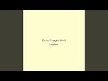 Echo Fragile Drift