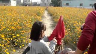 2011 新市花海 研究稻草人