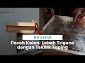 Trigona Bee Colony Breaking Review With Toping Technique