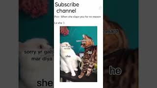 cat be like why u hit me 😂||funny meme || cat || Relatable meme