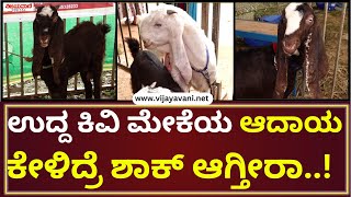 GKVK Krishi Mela Bangalore | ಎರಡುವರೆ ಲಕ್ಷ ಕೇಳಿದ್ರೂ ಕೊಟ್ಟಿಲ್ಲ... ಒಂದೊಂದು ಕುರಿಗೂ ಚಿನ್ನದಂತ ಬೆಲೆ!