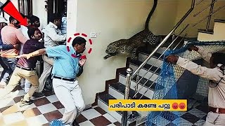 😯കാട്ടിലെ പുലി നാട്ടിലിറങ്ങി🤯Animals Encounters Caught on Camera/Top 5 malayalam/Top 10 malayalam.