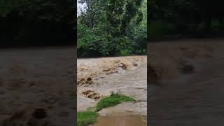 itna paani kaha se aaya #rain #water #viralshorts #shorts