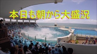 鴨川シーワールド　２０１８　シャチパフォーマンス２７０　GoProで朝から大盛況のサマースプラッシュを４Ｋで撮ってみた　killer whale show