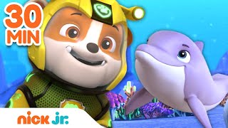 Rubble Ocean & Beach Rescues! w/PAW Patrol Marshall & Zuma | 30 Minute Compilation | Rubble Official