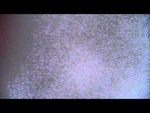 Webcam Video From August 13 2015 10 33 Pm Utc Youtube