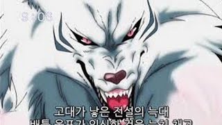 토리코)전설의 늑대 배틀울프에 대하여