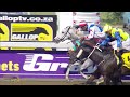 20240522 hollywoodbets greyville race 2 won by brass bell