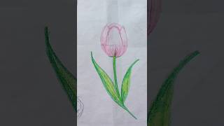 A flower drawing #transition #hanuman #art #sawan #drawing #shorts #cute #ytshorts