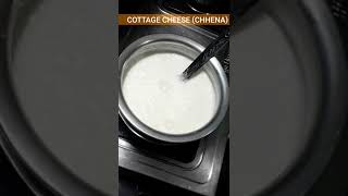 Chhena/ Cottage cheese (Chhena)/ Cheese/ How to make cottage cheese/ Home made chhena #shorts