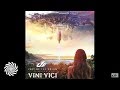 Astrix & Ace Ventura - Valley of Stevie