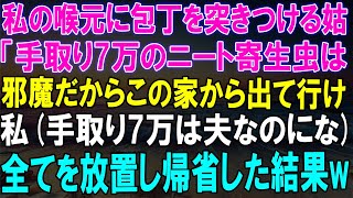 手取り7万は夫なのに！姑からの過激な一言で追い出され、放置して帰省した結果、待ち受けていた...