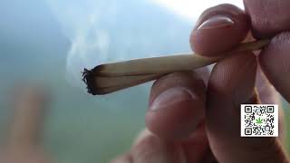 New York employers prohibited from testing employees for marijuana