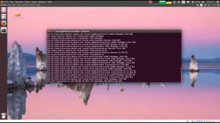 PCBSIm Installation on Linux