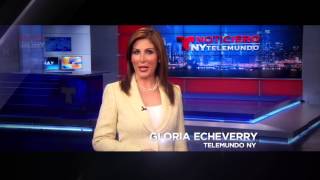 News 4 New York & Telemundo: "Working Together For You"